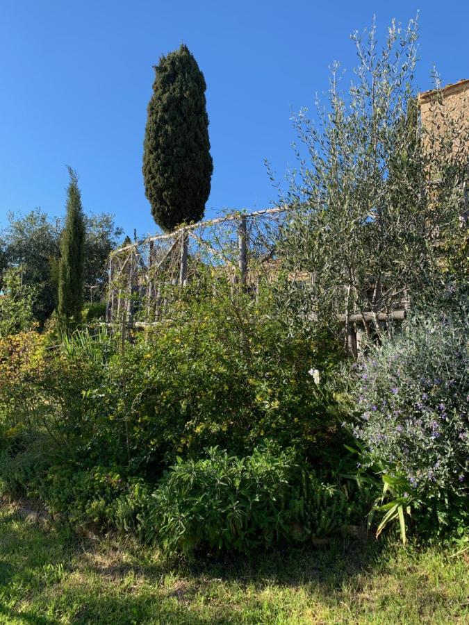 Podere Casallorto Volterra Exterior photo